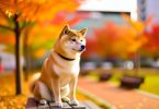 Shiba Inu urbain : secrets d'un compagnon heureux